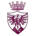 Logo BORGOSESIA 