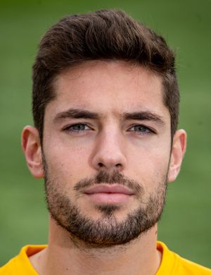 JOAO VIGARIO MIGUEL RIBEIRO 