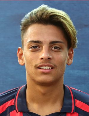 GUGLIELMO ARMANDO 