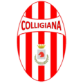 Logo colligiana