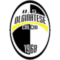 Logo olginatese
